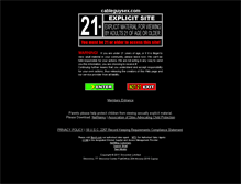 Tablet Screenshot of cableguysex.com